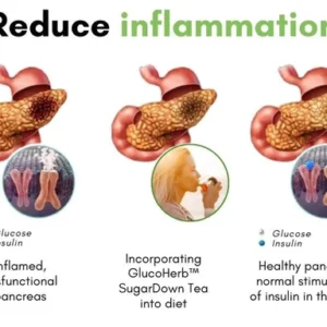 GlucoHerb™ SugarDown Tea